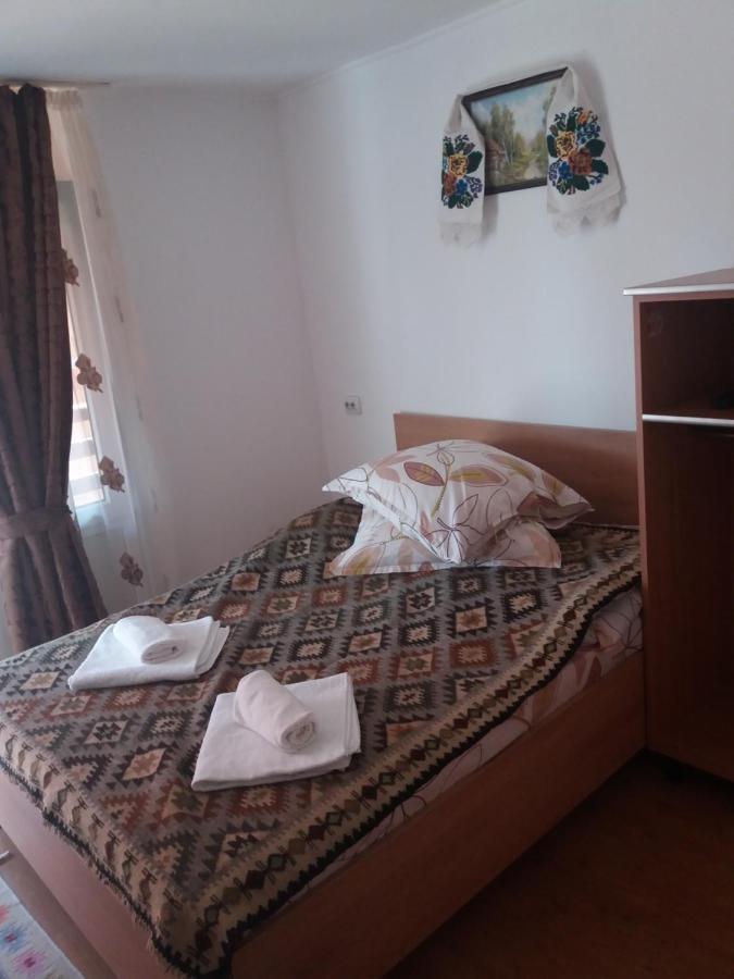 Pensiunea Montana Săpînţa Exterior foto