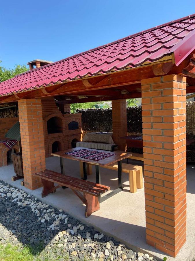 Pensiunea Montana Săpînţa Exterior foto
