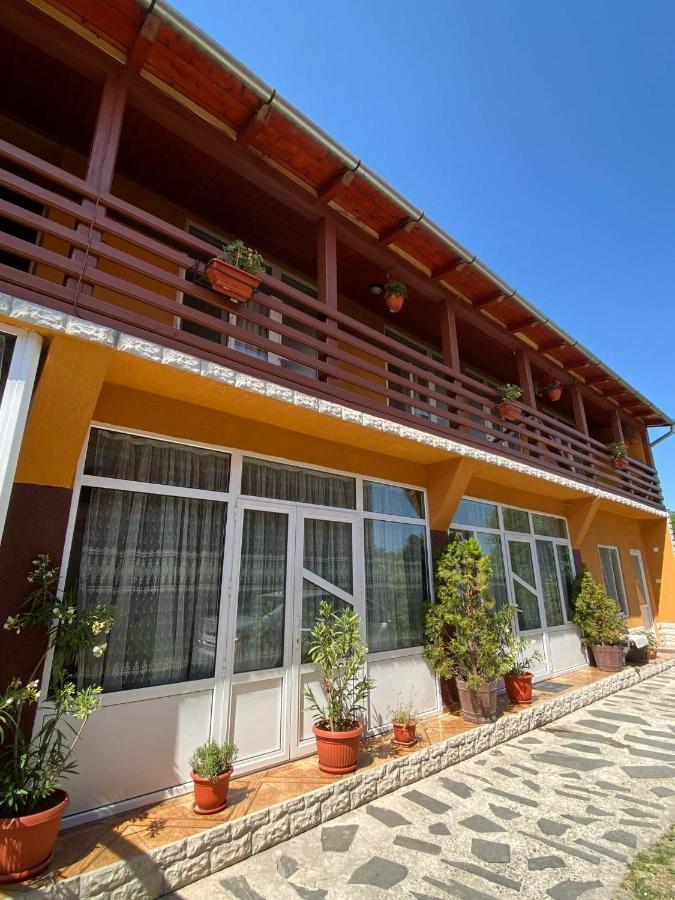 Pensiunea Montana Săpînţa Exterior foto