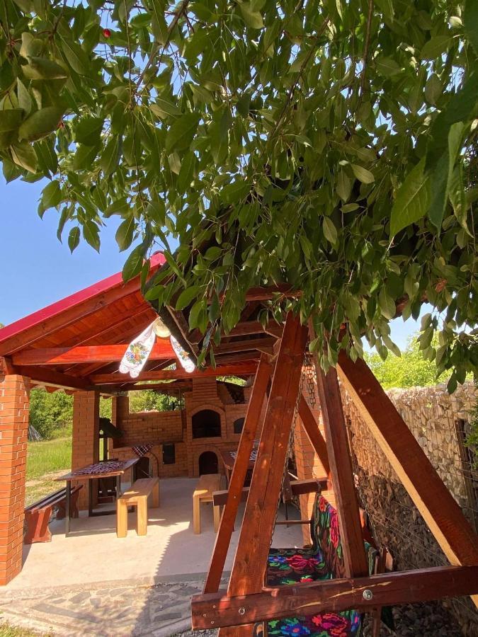 Pensiunea Montana Săpînţa Exterior foto